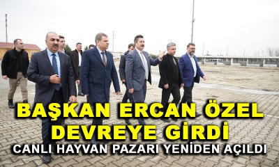BAŞKAN ERCAN ÖZEL DEVREYE GİRDİ: CANLI HAYVAN PAZARI YENİDEN AÇILDI